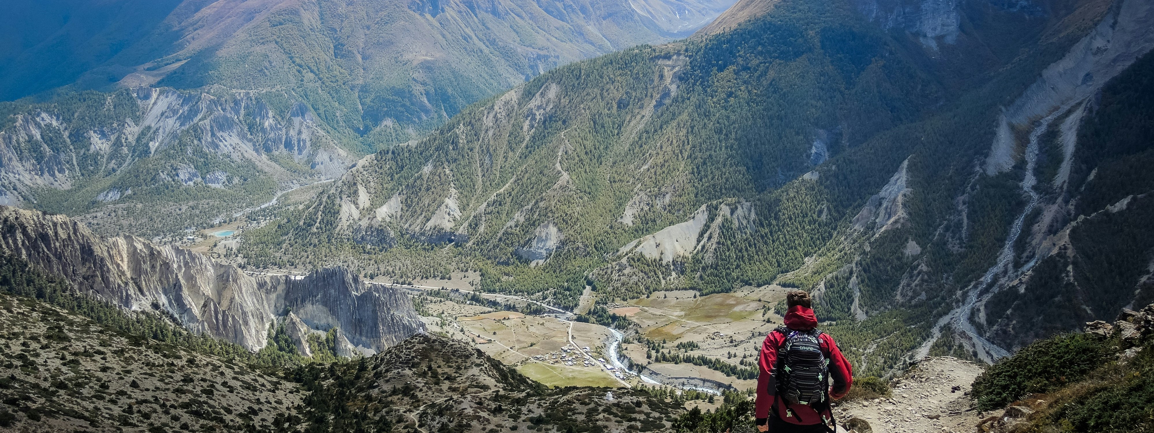 A person standing on a cliff overlooking a vast forest and mountains